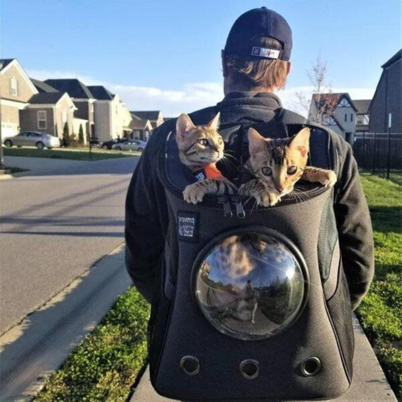 “The Fat Cat” Cat Backpack