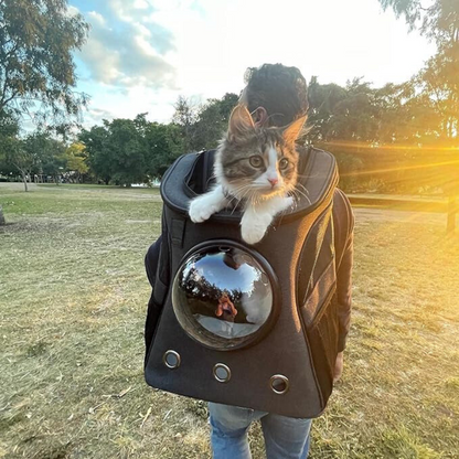 “The Fat Cat” Cat Backpack