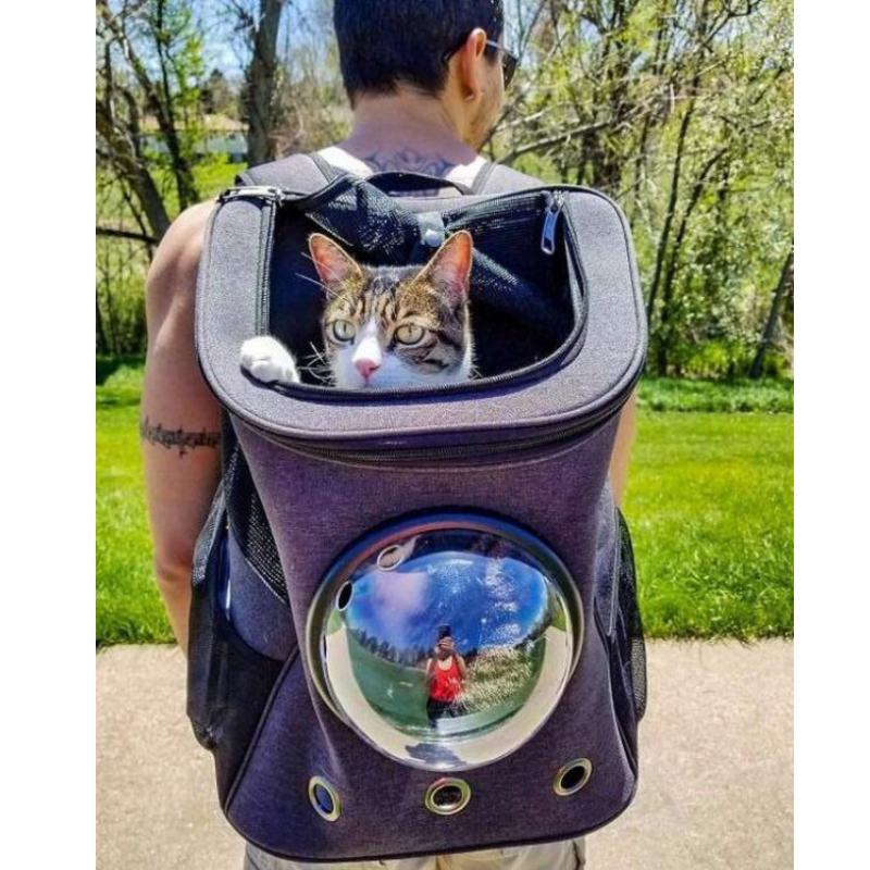 “The Fat Cat” Cat Backpack